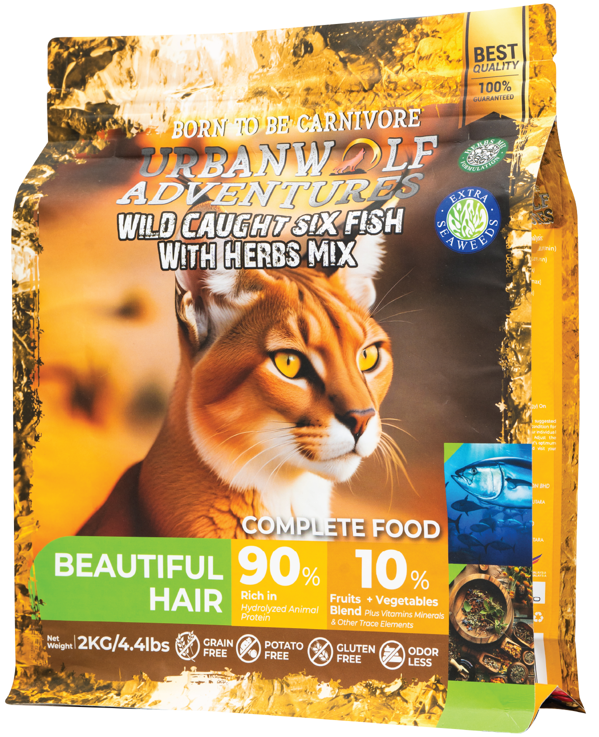 /img/cat-original/beautiful-hair/19.Beautiful Hair.png